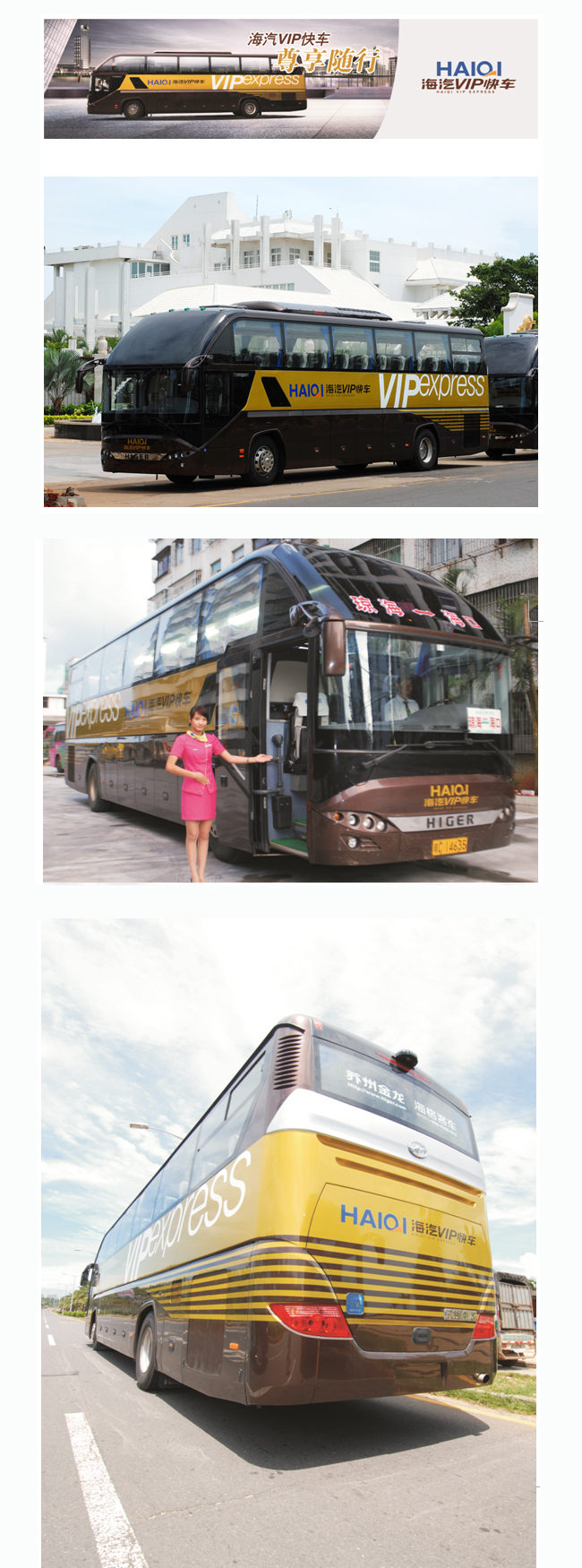 99499˹VIP쳵1.jpg